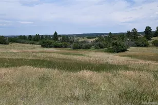 1579 Deerpath Rd, Franktown, CO 80116 - Photo 1