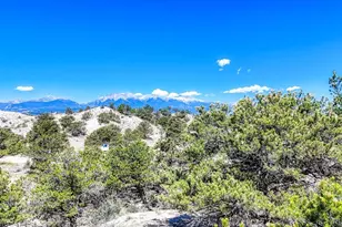 6542 Co Rd 110, Salida, CO 81201 - Photo 1