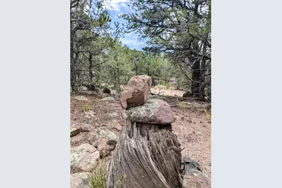 600 N Goldmine, Crestone, CO 81131 - Photo 1