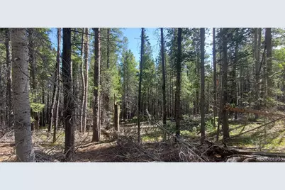 Lot 3031 Bolwell Lane, Fort Garland, CO 81133 - Photo 1