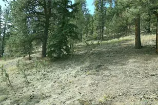 188 Brown St, Bailey, CO 80421 - Photo 1