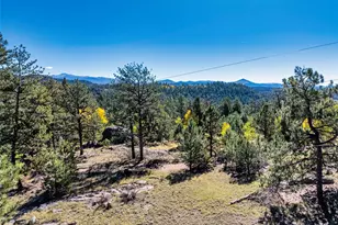 71 Pine Circle, Guffey, CO 80820 - Photo 1