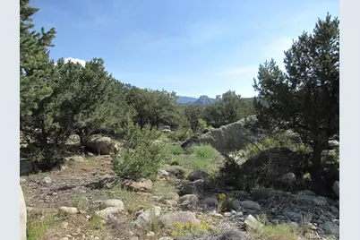 30025 Teal Run, Buena Vista, CO 81211 - Photo 1