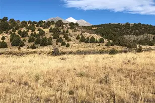 14772 Granite Pkwy, Salida, CO 81201 - Photo 1