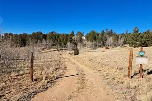 209 Crooked Rock Path, Como, CO 80432 - Photo 1