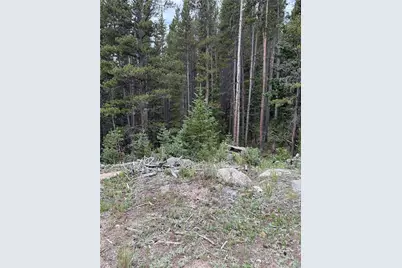 0179 Mine Road, Idaho Springs, CO 80452 - Photo 1