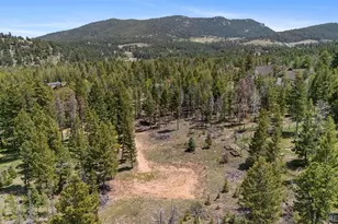 27687 Pine Grove Trail, Conifer, CO 80433 - Photo 1