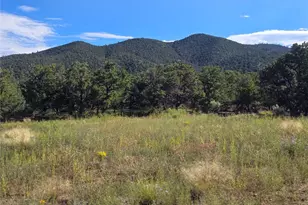 1576 Balleroy Rd, Fort Garland, CO 81133 - Photo 1