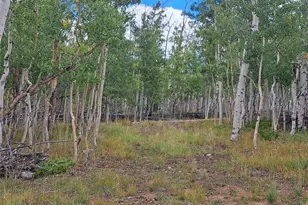 727 French Pass Cir, Jefferson, CO 80456 - Photo 1