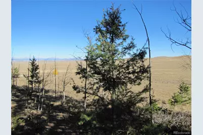 313 Aspen Lane, Hartsel, CO 80449 - Photo 1