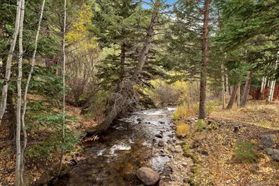 2971 Fall River Road, Idaho Springs, CO 80452 - Photo 1