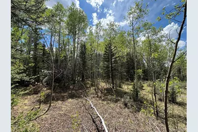 113 Ithaca Lane, Como, CO 80432 - Photo 1