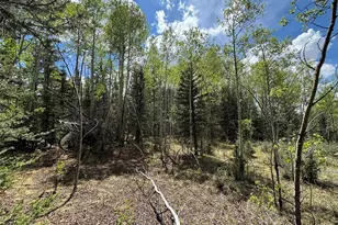 113 Ithaca Ln, Como, CO 80432 - Photo 1