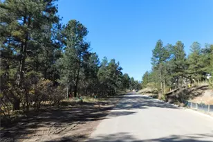 720 Copper Fox Pl, Larkspur, CO 80118 - Photo 1