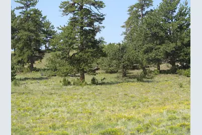 Arikara Trail, Hartsel, CO 80449 - Photo 1
