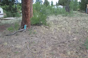 112 Lantern Loop, Hartsel, CO 80449 - Photo 1