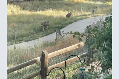 3303 Starry Night Loop, Castle Rock, CO 80109 - Photo 1