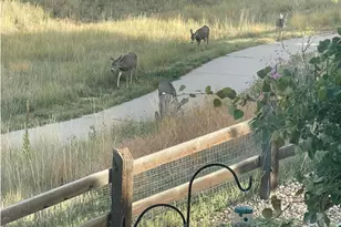 3303 Starry Night Loop, Castle Rock, CO 80109 - Photo 1