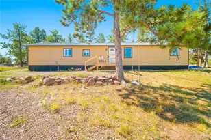 55 Arapahoe Dr, Florissant, CO 80816 - Photo 1