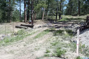 23967 High Timber Ln, Agate, CO 80101 - Photo 1