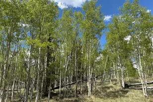 75 Ithaca Ln, Como, CO 80432 - Photo 1