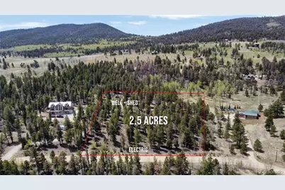 1667 Singletree Road, Hartsel, CO 80449 - Photo 1