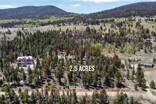 1667 Singletree Rd, Hartsel, CO 80449 - Photo 1