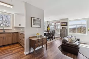 61 Cydney Ln, Silverthorne, CO 80498 - Photo 1