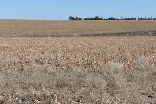 Parcel 2 Converse Rd, Bennett, CO 80102 - Photo 1