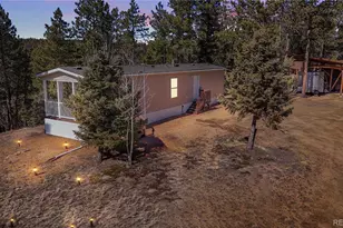 509 John Dr, Divide, CO 80814 - Photo 1