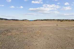 976 S Margaret Pl, Hartsel, CO 80449 - Photo 1