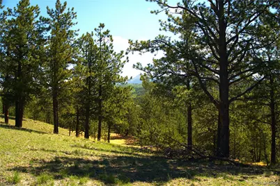 29 Dexter Circle, Cripple Creek, CO 80813 - Photo 1