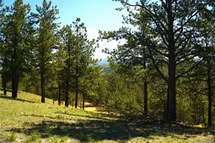 29 Dexter Cir, Cripple Creek, CO 80813 - Photo 1