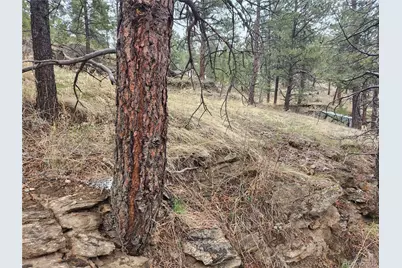 000 Forest Hill Road, Evergreen, CO 80439 - Photo 1