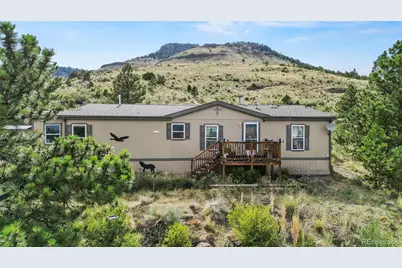 1711 Witcher Mountain Road, Guffey, CO 80820 - Photo 1