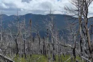 3263 Einstein Pl, Fort Garland, CO 81133 - Photo 1