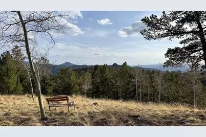 239 Homestead Road, Divide, CO 80814 - Photo 1