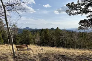 239 Homestead Rd, Divide, CO 80814 - Photo 1