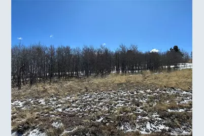 68 Mower Court, Hartsel, CO 80449 - Photo 1