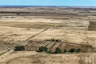4850 S County Road 137, Bennett, CO 80102 - Photo 1