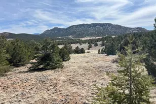 480 Wild Bill Blvd, Westcliffe, CO 81252 - Photo 1