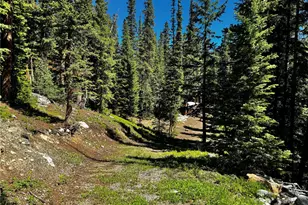 868 Sacramento Crossing, Fairplay, CO 80440 - Photo 1