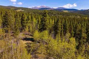 89 Skidoo Rd, Fairplay, CO 80440 - Photo 1