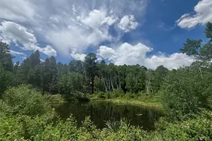 14750 Quartz Cir, Salida, CO 81201 - Photo 1