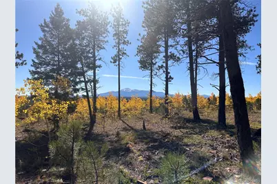 Lot 3 County Road 51, Florissant, CO 80816 - Photo 1