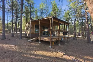163 Ouray Rd, Florissant, CO 80816 - Photo 1