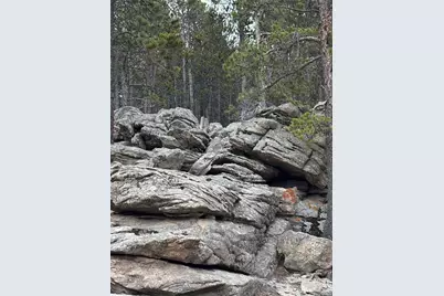 62 Badger Road, Black Hawk, CO 80422 - Photo 1