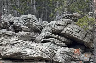 62 Badger Rd, Black Hawk, CO 80422 - Photo 1