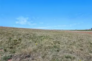 17946 Prairie Coach Vw, Colorado Springs, CO 80930 - Photo 1