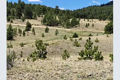 744 Julia Road, Guffey, CO 80820 - Photo 1